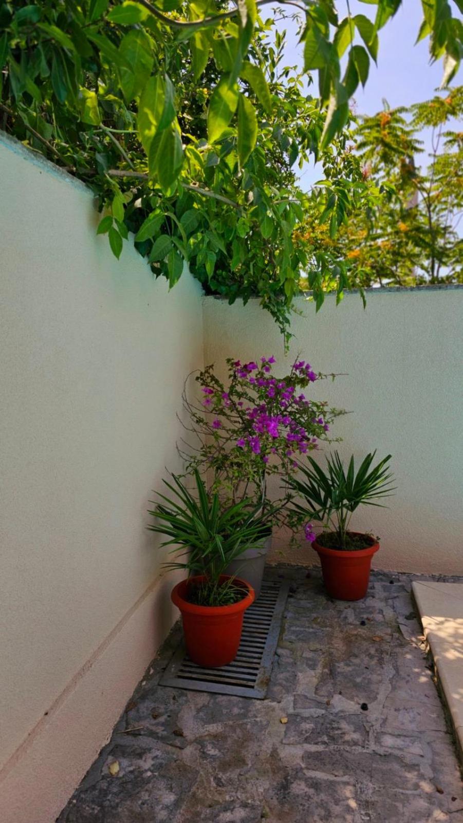 Lovely House With Swimming Pool Apartmán *
