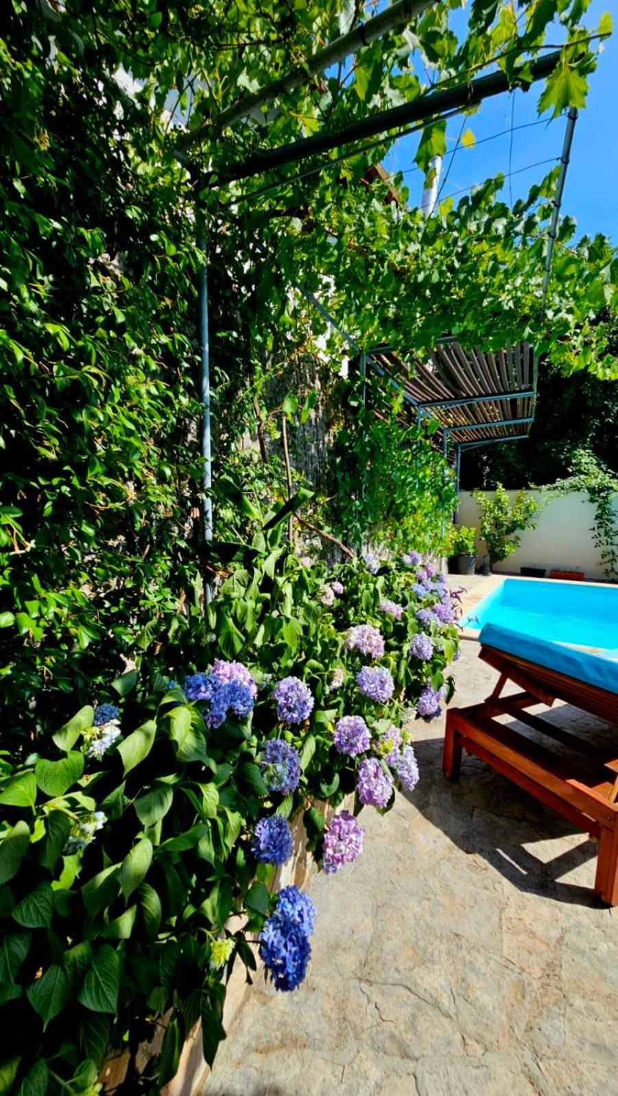 Lovely House With Swimming Pool Apartmán